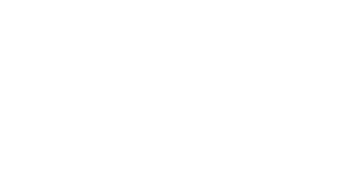 Partner 4